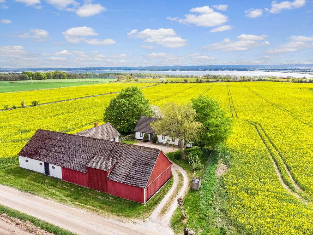Kulla 1, Harlösa bild 6