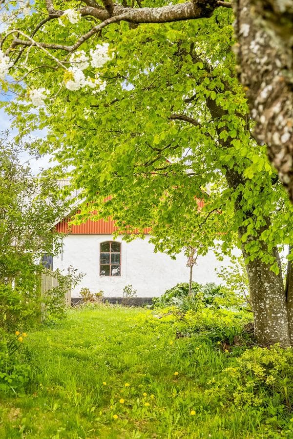 Kulla 1, Harlösa bild 9